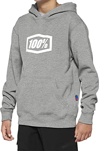 100% Youth Icon Hoody Heather Grey Youth L - Main Image