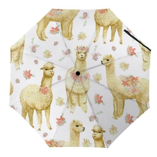 Parapluie automatique compact avec système d'ouverture rapide