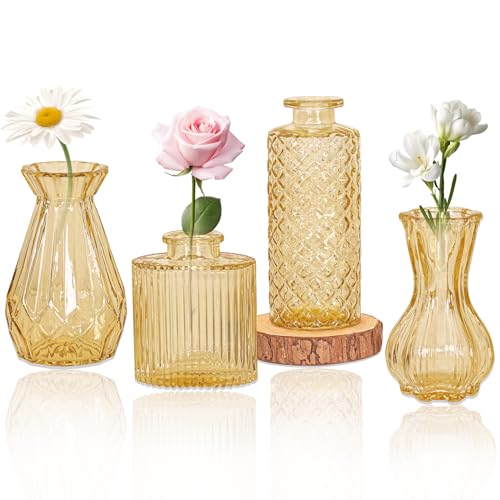 Set of 4 Glass Bud Vase Set Small Vintage Clear Flower Vase Centerpieces for Table Bulk Cute Rustic Style Mini Vase for Home Decor Wedding Baby Shower Birthday Party(Champagne)