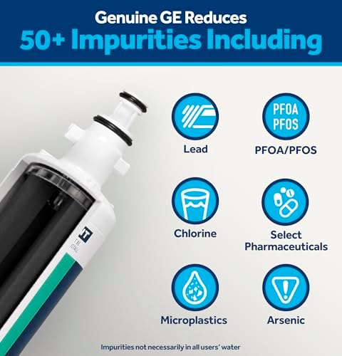 GE RPWFE Refrigerator Water Filter, Genuine Replacement Filter, Certified to Reduce Lead, Sulfur, and 50+ Other Impurities, Replace Every 6 Months for Best Results, Pack of 1 - 1