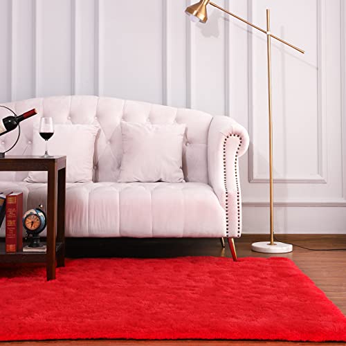 Keeko Red Fluffy Area Rug, 3X5Ft Cute Shag Carpet For Bedroom, High Pile Shaggy Carpets For Living Room, Indoor Fuzzy Rugs For Girls Kids Room Home #TOP6