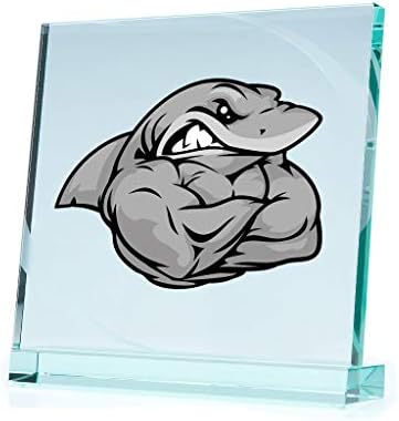 Stickers Decal Shark Bodybuilder Motorbike Vehicle Weatherproof Garage Durabl (7 X 5.34 in)