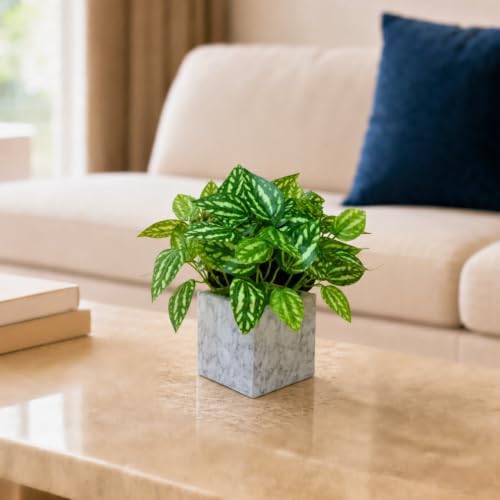Image of fancymart Artificial Plant with Real-Touch Leaves in Pot, 25 cm, Indoor Tabletop Item for Home Decor, Office, Living Room