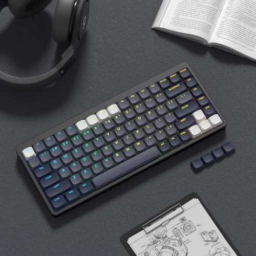 キーキャップ Womier 143キー ロープロファイルPBTキーキャップ 光透過 フルセット 60%、65%、75%、100%のキーボード対応 パソコン用キーボード