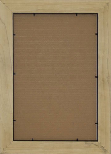 Frame Usa Farmhouse Series 12X16 Barnwood Picture Frames (White) #TOP4