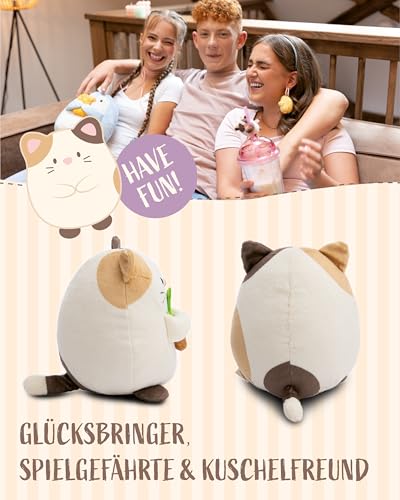 NICI MYMOCHI Kuscheltier Katze Angy 27 cm mit Kaktus, Flauschiges Stofftier zum Kuscheln, Spielen und Liebhaben, Liebevoll gestaltet - 61407