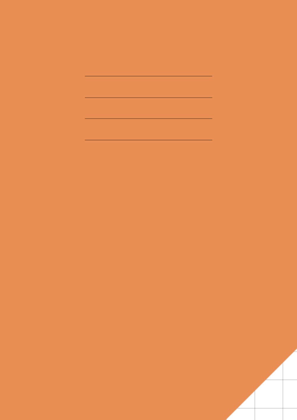 20mm Square Exercise Book A4: Squared Paper / Quad Ruled Grid Notebook / Graph / School / Maths | Orange