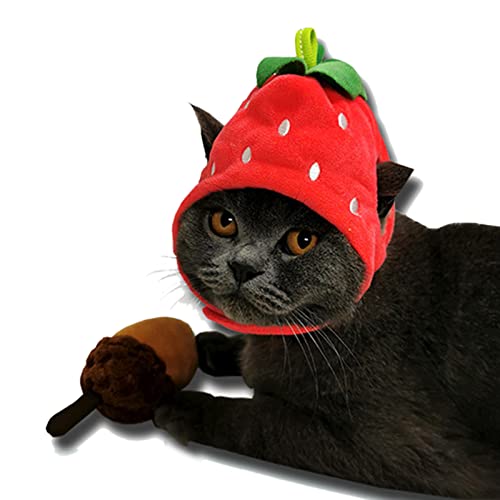 Sombrero disfraz frutas para perros y gatos miniatura 7
