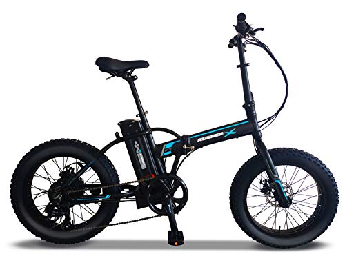 fat bike foldable