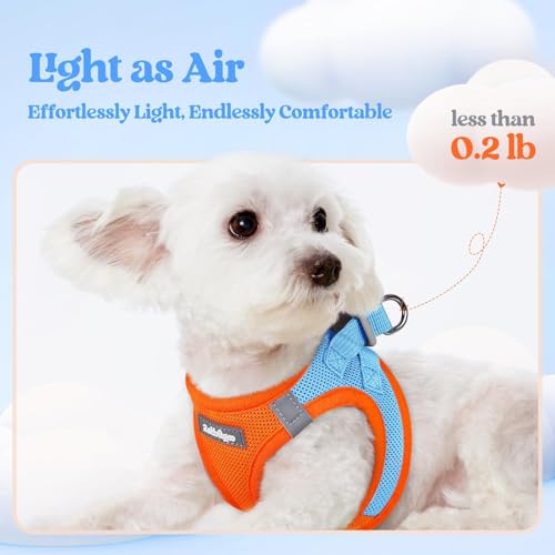 Image of rabbitgoo Dog Harness Small Sized and Leash Set, Step-in Puppy Pet Vest