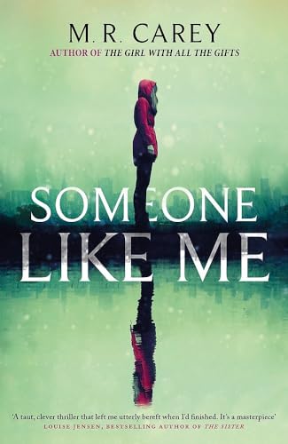 Someone Like Me view 2