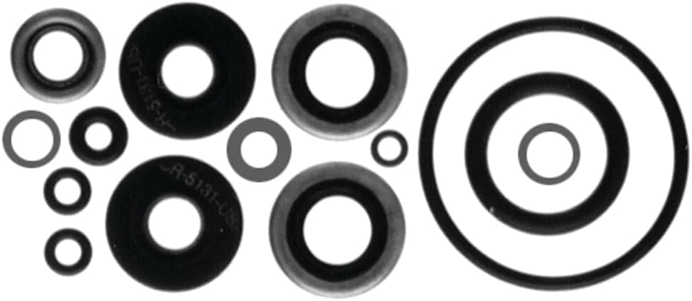 Sierra International 18-2656 Marine Lower Unit Seal Kit for Johnson/Evinrude Outboard Motor, white