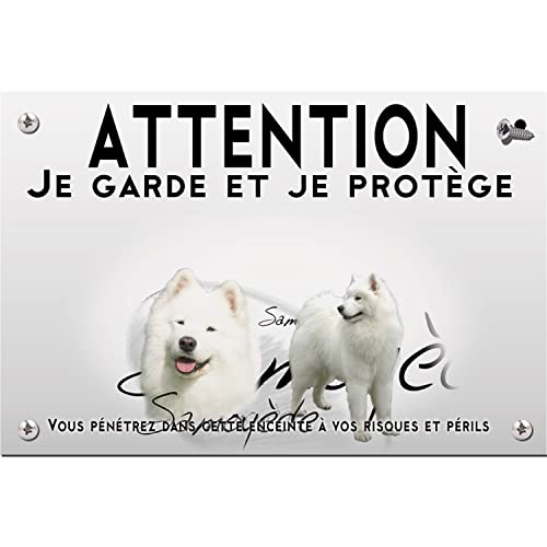 Plaque plastique Attention au chien samoyède