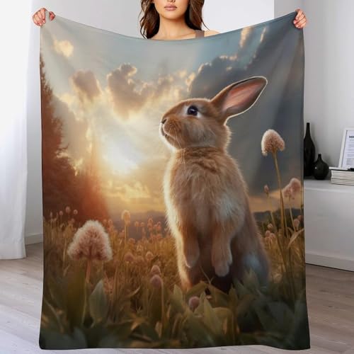 Couverture salon douce flannel polaire contre les nuits fraîches
