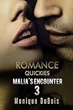 Romance Quickies: Malia's Encounter - 3