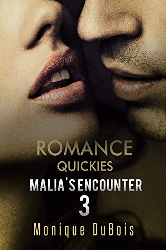 Romance Quickies: Malia's Encounter - 3