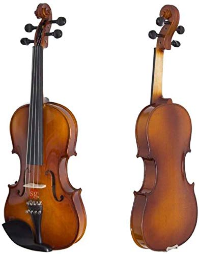 Maple Wood Violin with case