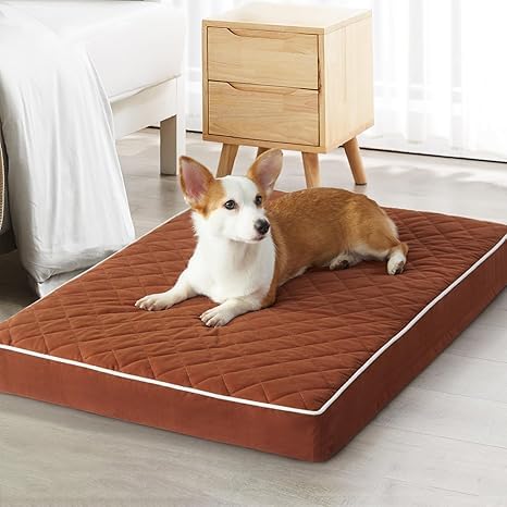 Orthopedic Dog Beds for Dogs, Waterproof Dog Bed with Removable Washable Cover & Anti-Slip Bottom, Egg Crate Foam Pet Bed Mat, Multi-Needle Quilting (Brown, 23.0" L x 16.0" W x 3.0" Th) (B0DFLZ8CCS) Amazon Price History, Amazon Price Tracker