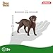 Schleich Farm World, Realistic Animal Toys for Kids and Toddlers, Labrador Retriever Dog Toy Figurine, Ages 3+