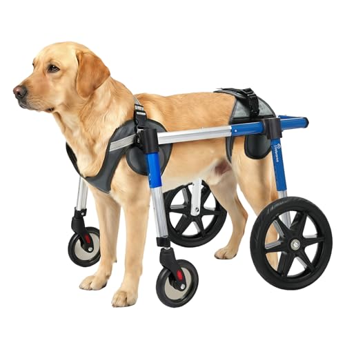 Virbraroo 4-Wheel Full-Body Wheelchair