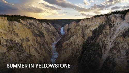 Summer in Yellowstone