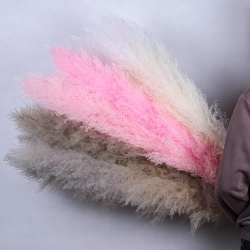 Pampas Grass Large flores secas decorativas 60cm pack 10 miniatura 4