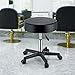 VEVOR Swivel Chairs on Wheels, Supports up to 400 LBS, Height-Adjustable Seating with Extra-Thick Cushion, Ideal for Salons, Bars, Homes, Offices, Tattoo Parlors, Medical and Massage Use, Black