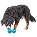 GURU Pet: Guru Duo Ball - Medium -7.25