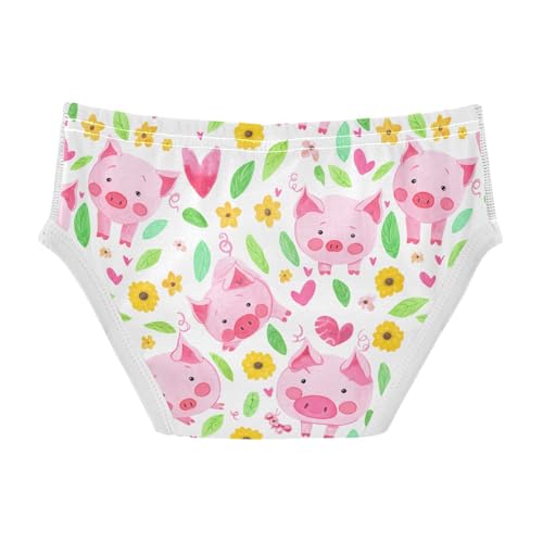 Cute Pink Pigs Toddler Boy's Underwear 2T 202c18062