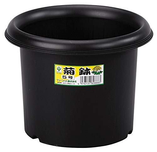 O[p e 5  e:1.5L