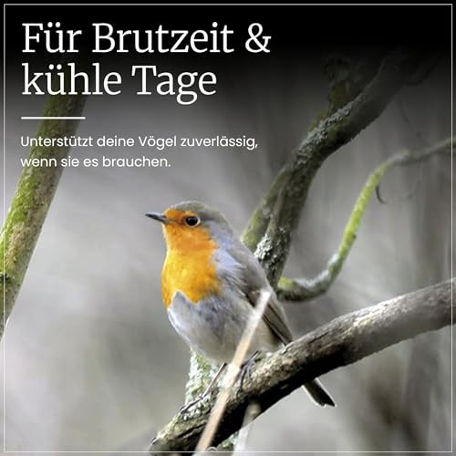 Erdtmanns Fettfutter für Wildvögel, 1er Pack (1 x 5 kg)