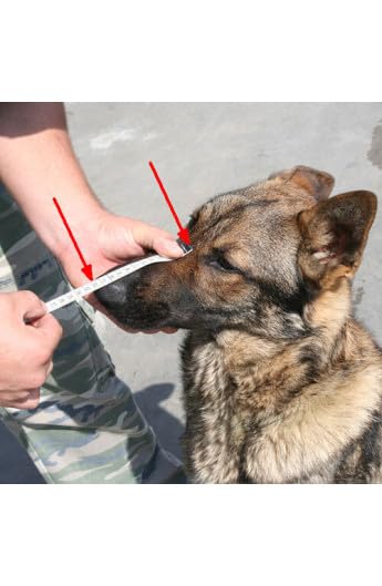 Museruola in ferro gommato nero tipo ceco per Dobermann/Lupo Cecosl.Femmina