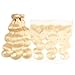 DACHIC 613 Blonde Human Hair 3 Bundles with Frontal Brazilian Body Wave with Frontal 100% Virgin Human Hair Weave with Lace Frontal (12 14 16+10)