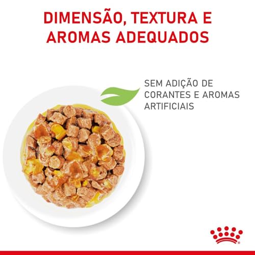 Ração Úmida Kitten Sterilised Jelly Para Gatos de 6 a 12 Meses 85 g Royal Canin