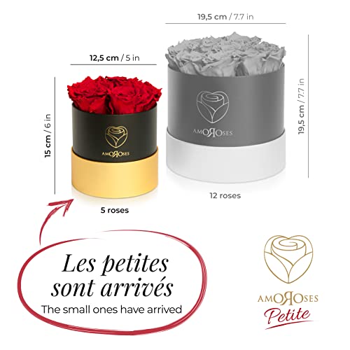 Fleurs Véritables : 5 Roses Éternelles Amoroses en Petite Boîte - 2