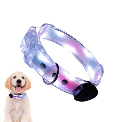 犬の首輪、照明付き犬の襟 - 充電可能なライトアップ犬の安全ネックレス,夜のウォーキング、暗い、屋外のための調整可能な光る襟