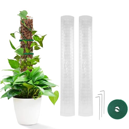 Tefola Aide à l'escalade Monstera, 2 pièces 24 Pouces Poteaux de Mousse en Plastique Treillis Monstera pour Plantes grimpantes de Jardin Monstera Philodendron Creepers (2pcs)