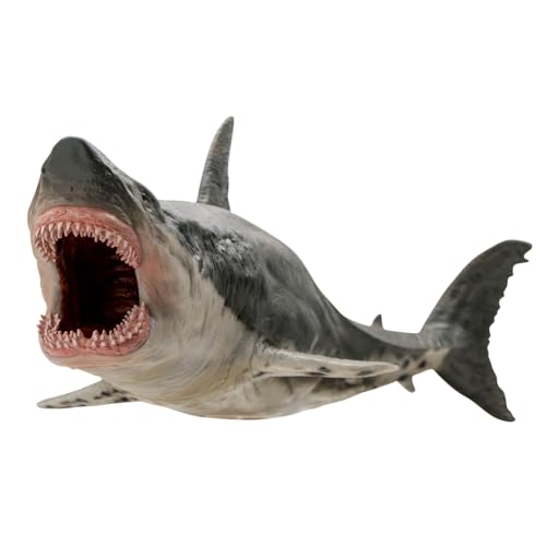 Megalodon Requin Blanc AMITD 33 cm Peluche Animaux de la Mer