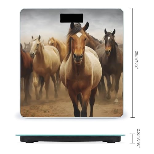 Báscula digital para baño Many Horses 400lb con pantalla LCD miniatura 2