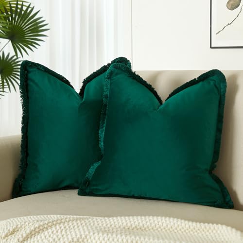 JUSPURBET Forest Green Velvet Throw Pillow Covers 18x18 Inch Set of 2 with Soft Tassel Fringe Luxury Boho Pillowcase for Sofa Couch Bed Home Decor Machine Washable