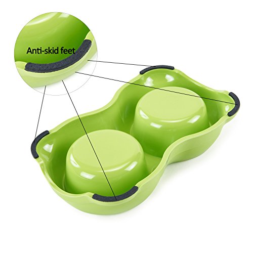 Ciotola Cucciolo Gattino Ciotola Piccolo Gatto del...