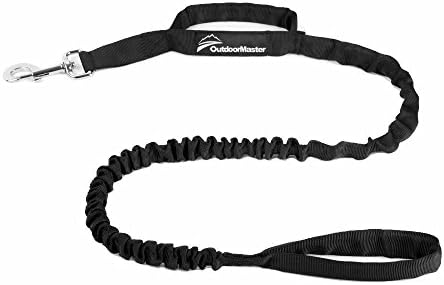 Best bungee leash for dogs Clearance