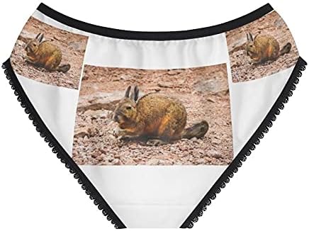 Southern Viscacha Panties, Southern Viscacha Underwear, Briefs, Cotton Briefs, Funny Underwear, Panties For Women
