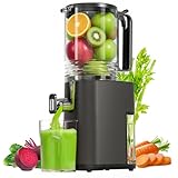 Cold Press Juicer, 5.5inch Wide Feed Chute Juicer Machine, Slow Masticating Juicer for Whole Vegetables & Fruits, Gray