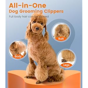 oneisall Dog Clippers for Grooming 2-Speed Super Power Dog Clippers 50dB Quiet Rechargeable Cordless Dog Trimmer with Detachable Stainless Steel Blade for Small & Large Dogs with Thick Coats oneisall Dog Clippers for Grooming 2 Speed Super Power Dog Clippers 50dB Quiet Rechargeable Cordless Dog Trimmer with Detachable Stainless Steel Blade for Small Large Dogs with Thick Coats