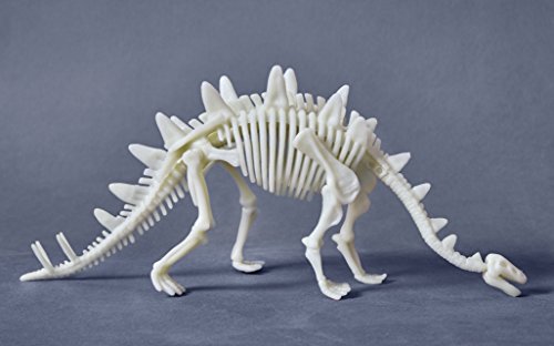 Terra Kids Glow-in-the-dark-Stegosaurus