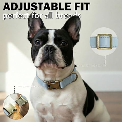 Image of B&F Dog Collar for Large Dogs Silicone Leather Dog Collars Soft Flexible Waterproof Odor-Proof Durable Thick Classic Adjustable Pet Puppy Collar (Blue, Large (16-24.5 inch Neck))