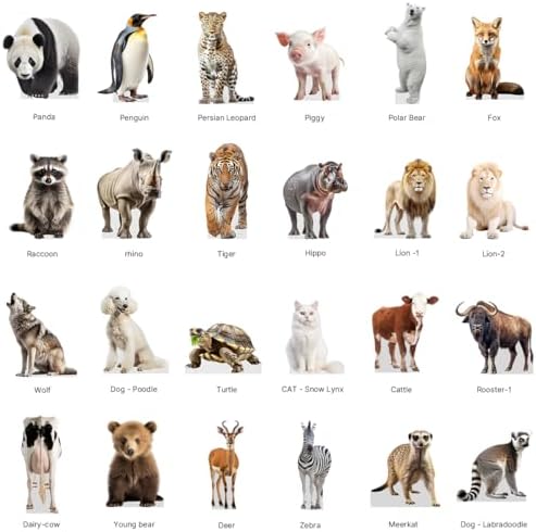 Bear - Life Size Cardboard Cutout Standup People with Support Standee | Animals -2