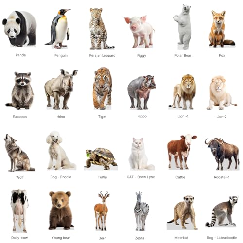 Lion - Life Size Cardboard Cutout Standup People with Support Standee | Animals -1