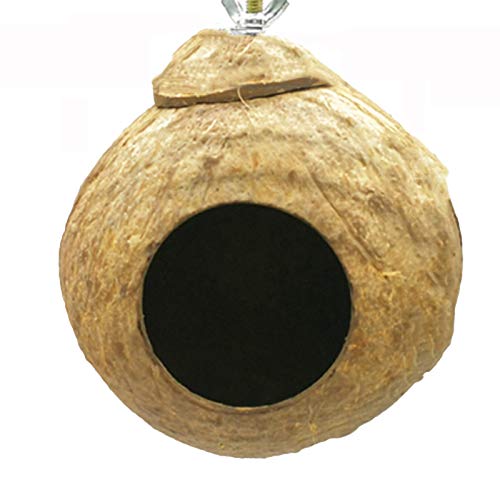 Nid d'oiseau en noix de coco naturelle pour balcon et cour avec vis
